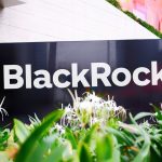 blackrock investment