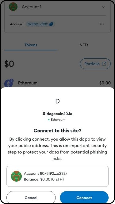 A screenshot of the DOGE20 MetaMask connection stage