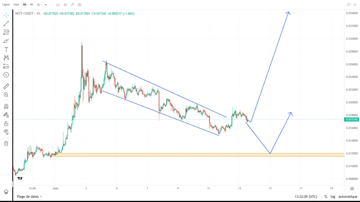 Which way will Notcoin price go? 
